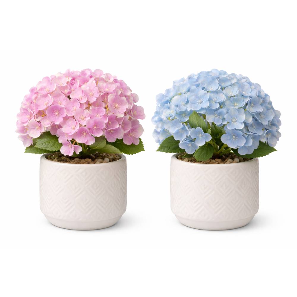 Decorative Plant in Pot