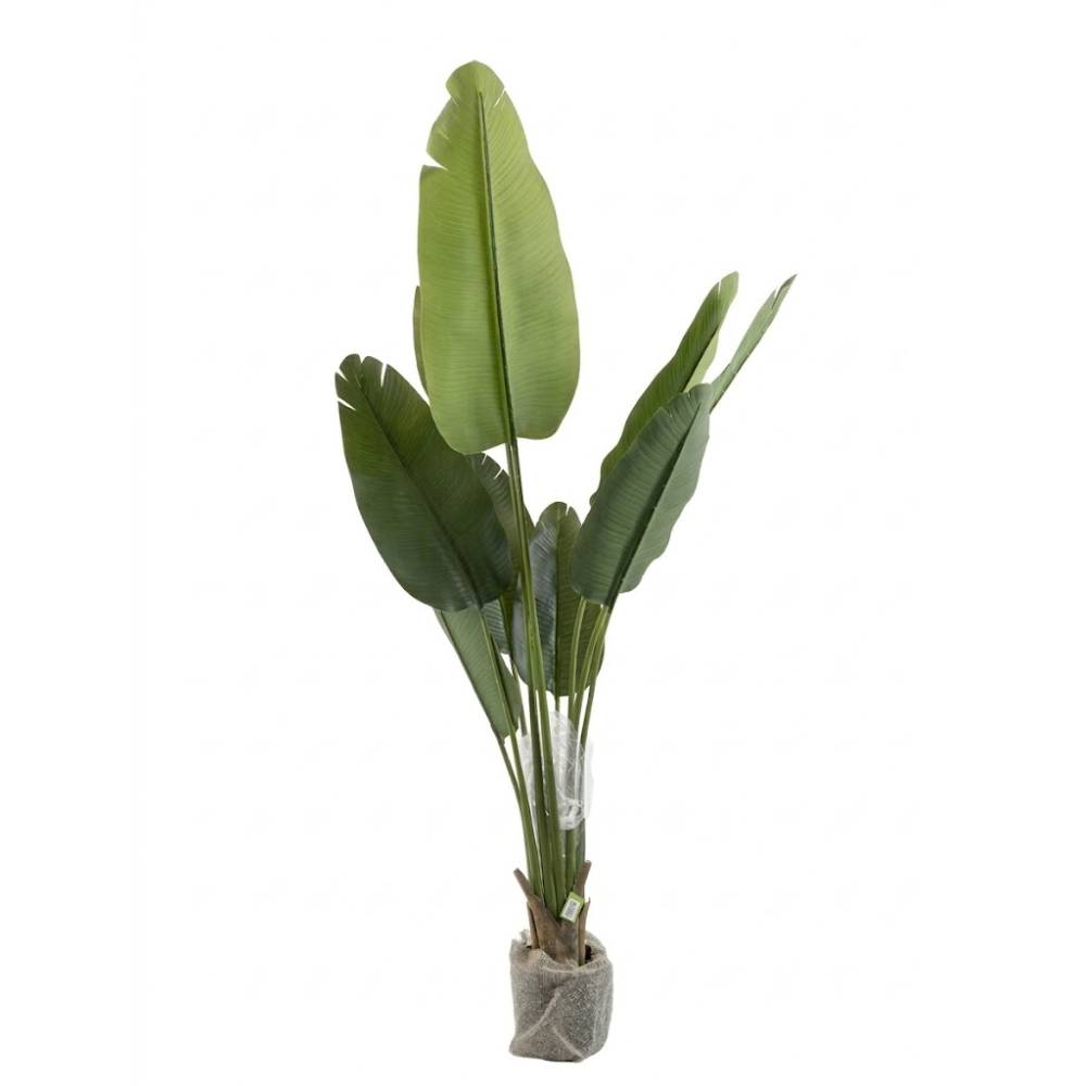 3-fork 9-leaf PVC pipe simulation traveler’s canna