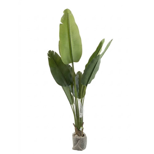 3-fork 9-leaf PVC pipe simulation traveler’s canna