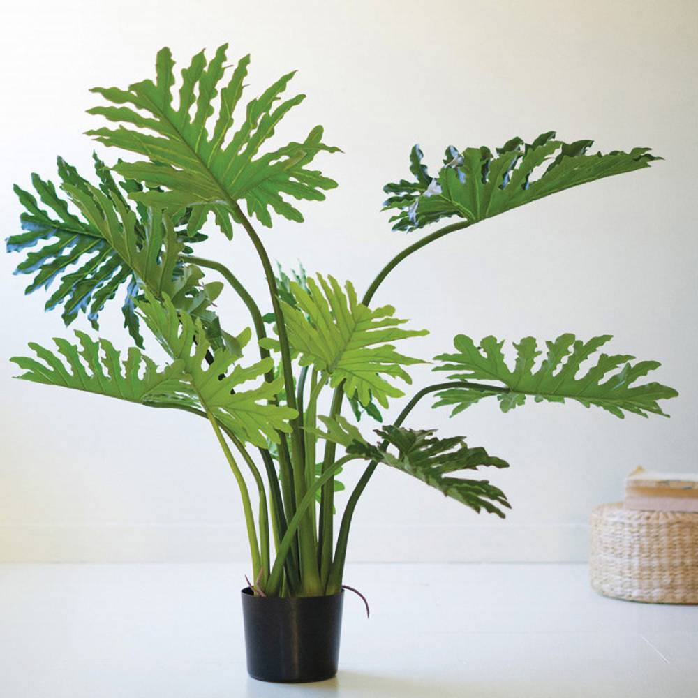 Artificial Philodendron Spring Feather Plant