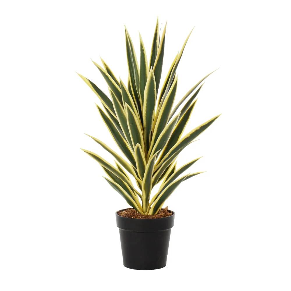 Artificial Variegated Yucca Plant Yellow-Edge Leaves with Pot (Plastic)