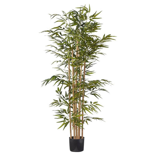 1107 Leaf Golden Bamboo 7 Pole Bonsai (Bamboo)