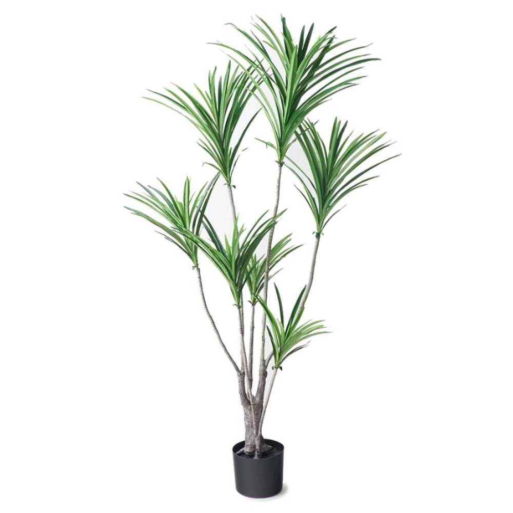 Simulated Auspicious Plant with Yellow Border (Plastic)