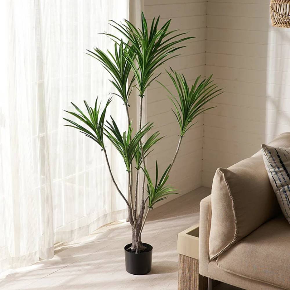 Simulated Auspicious Plant with Yellow Border (Plastic)