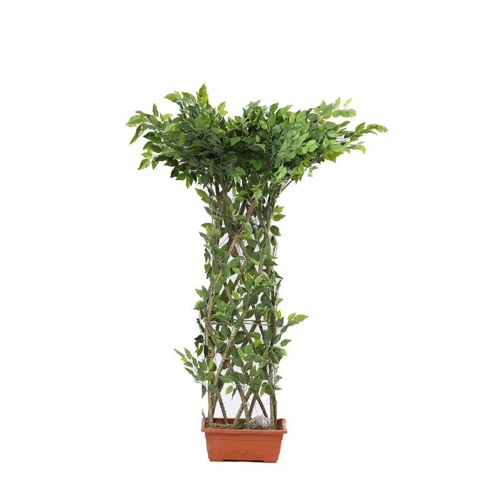 Simulated Mesh Mini Green Banyan Plant (Plastic)