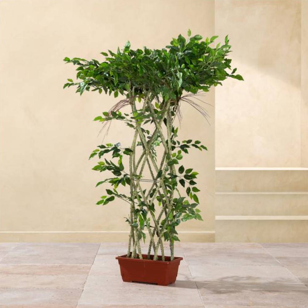 Simulated Mesh Mini Green Banyan Plant (Plastic)