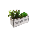 RECTANGLE FLOWER POT
